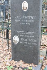 Мадиевская Циля Яковлевна, Москва, Востряковское кладбище