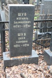 Шуб Израиль Залманович, Москва, Востряковское кладбище