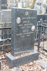 Шуб Гита Яковлевна, Москва, Востряковское кладбище