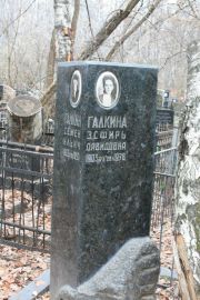 Галкина Эсфирь Давидовна, Москва, Востряковское кладбище