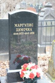 Маргулис Димочка , Москва, Востряковское кладбище