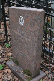 Цисина Сарра Моисеевна, Москва, Востряковское кладбище