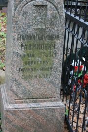 Равикович Беньямин Самуилович, Москва, Востряковское кладбище