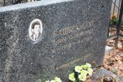 Кацнельсон Ефим Самойлович, Москва, Востряковское кладбище