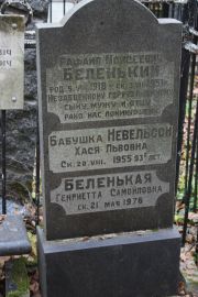 Беленький Рафаил Моисеевич, Москва, Востряковское кладбище