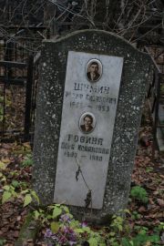 Ровина Дора Исааковна, Москва, Востряковское кладбище