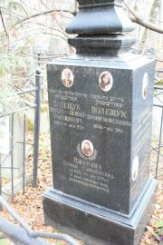 Ишунина Софья Самойловна, Москва, Востряковское кладбище