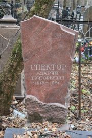 Спектор Азарий Григорьевич, Москва, Востряковское кладбище