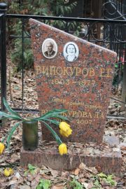 Винокуров Е. Г., Москва, Востряковское кладбище