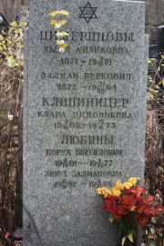 Любина Люба Залмановна, Москва, Востряковское кладбище