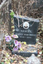 Чижик Давид Моисеевич, Москва, Востряковское кладбище