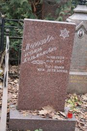 Морозова Эсфирь Кельмановна, Москва, Востряковское кладбище