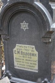Воловик С. М., Москва, Востряковское кладбище