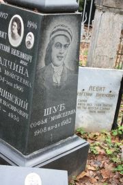 Шуб Софья Моисеевна, Москва, Востряковское кладбище