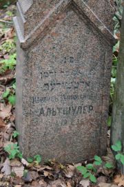 Альтшулер Израиль Зельманович, Москва, Востряковское кладбище