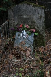 Шифрин И. И., Москва, Востряковское кладбище