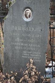 Вишняцкий Ефим Яковлевич, Москва, Востряковское кладбище