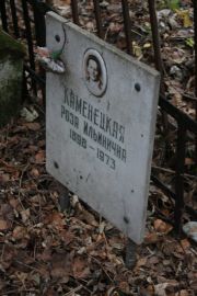 Каменецкая Роза Ильинична, Москва, Востряковское кладбище