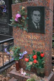 Иткис Ефим Иосифович, Москва, Востряковское кладбище
