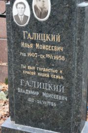 Галицкий Илья Моисеевич, Москва, Востряковское кладбище