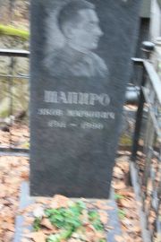 Шапиро Яков Аронович, Москва, Востряковское кладбище