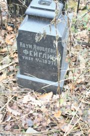 Фейглин Наум Яковлевич, Москва, Востряковское кладбище