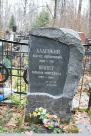 Халецкий Борис Абрамович, Москва, Востряковское кладбище