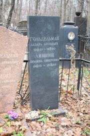 Гольдельман Лазарь Аронович, Москва, Востряковское кладбище
