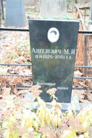 Ангелевич М. И., Москва, Востряковское кладбище