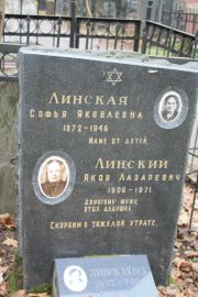 Линский Яков Лазаревич, Москва, Востряковское кладбище