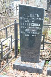 Стекель Рахиль Залмановна, Москва, Востряковское кладбище