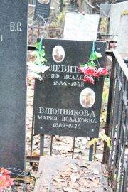 Левит Иосиф Исаакович, Москва, Востряковское кладбище