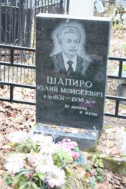 Шапиро Юлий Моисеевич, Москва, Востряковское кладбище