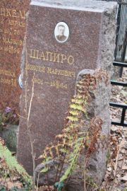 Шапиро Моисей Маркович, Москва, Востряковское кладбище