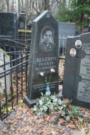 Шапиро Рахиль Иосифовна, Москва, Востряковское кладбище