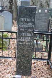Литвин Рахмаил Абрамович, Москва, Востряковское кладбище