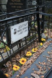 Цейтлин Михаил Абрамович, Москва, Востряковское кладбище