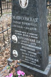 Матусовский Д. И., Москва, Востряковское кладбище