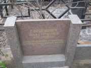 Ефроймович Ида Гершевна, Москва, Востряковское кладбище