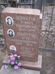 Левинтова-Агрест Софья Владимировна, Москва, Востряковское кладбище