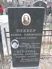 Пеккер Фаина Ефимовна, Москва, Востряковское кладбище