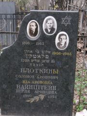 Плоткина Ида Ароновна, Москва, Востряковское кладбище