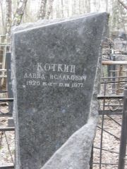 Коткин Давид Исаакович, Москва, Востряковское кладбище