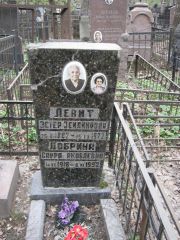 Добрина Сарра Яковлевна, Москва, Востряковское кладбище