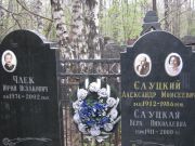 Слуцкая Вера Николаевна, Москва, Востряковское кладбище