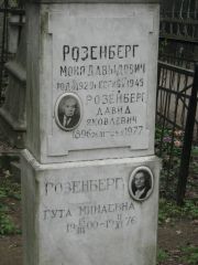Розенберг Моня Давыдовна, Москва, Востряковское кладбище