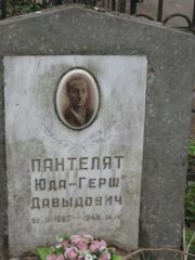Пантелят Юда-Герш Давыдович, Москва, Востряковское кладбище