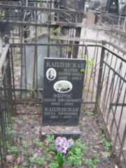 Эфрос Абрам Михайлович, Москва, Востряковское кладбище