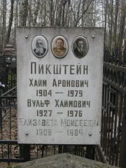 Пикштейн Хайм Аронович, Москва, Востряковское кладбище