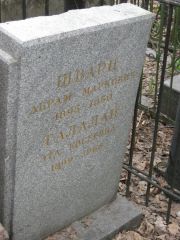 Шварц Абрам Маркович, Москва, Востряковское кладбище